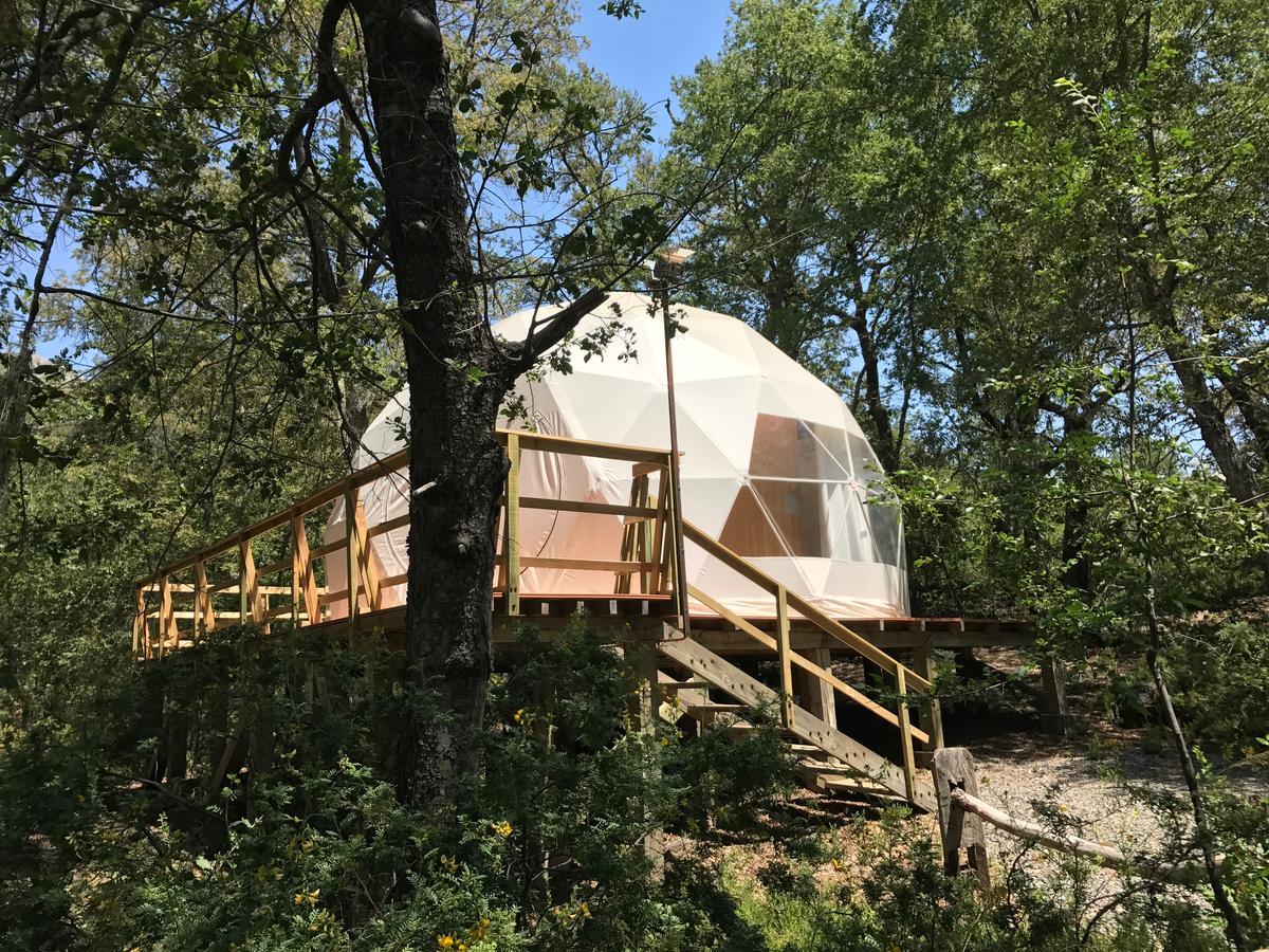 Glamping Domos Treepod Hotel Las Trancas Exterior photo